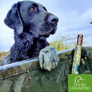 Meet your Posher, Rob